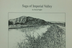 Saga of Imperial Valley by David Nuffer