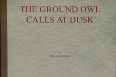 The Ground Owl Calls at Dusk by Ethal T. Schoneman